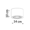 Plafon BASIC 1 naturalne drewno