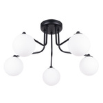 Żyrandol ASTRAL 5 czarny