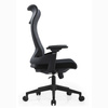 Fotel ergonomiczny ANGEL biurowy obrotowy Mimoza